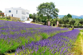  Quinta das Lavandas  Каштелу-Де-Виде